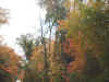 DSCF0025.JPG (59623 bytes)